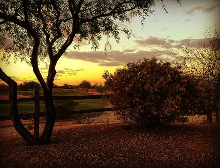 Maricopa at Sunset