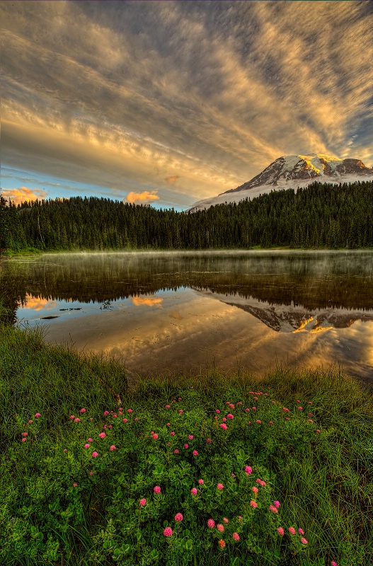 Mt. Rainier Reflection