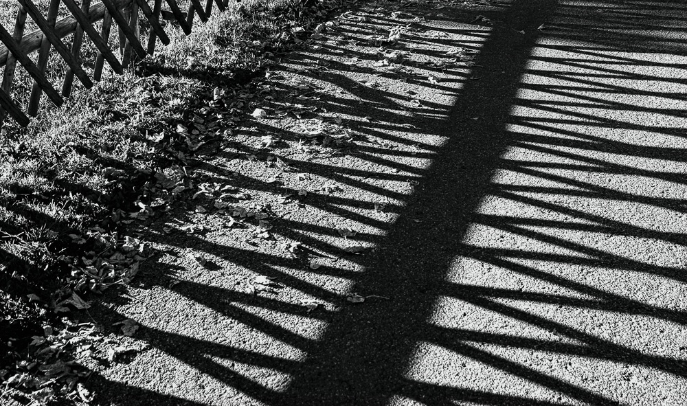 Fence Shadows