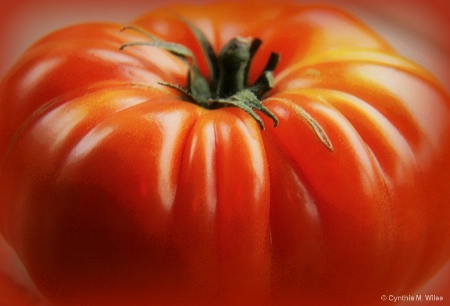 Tomato