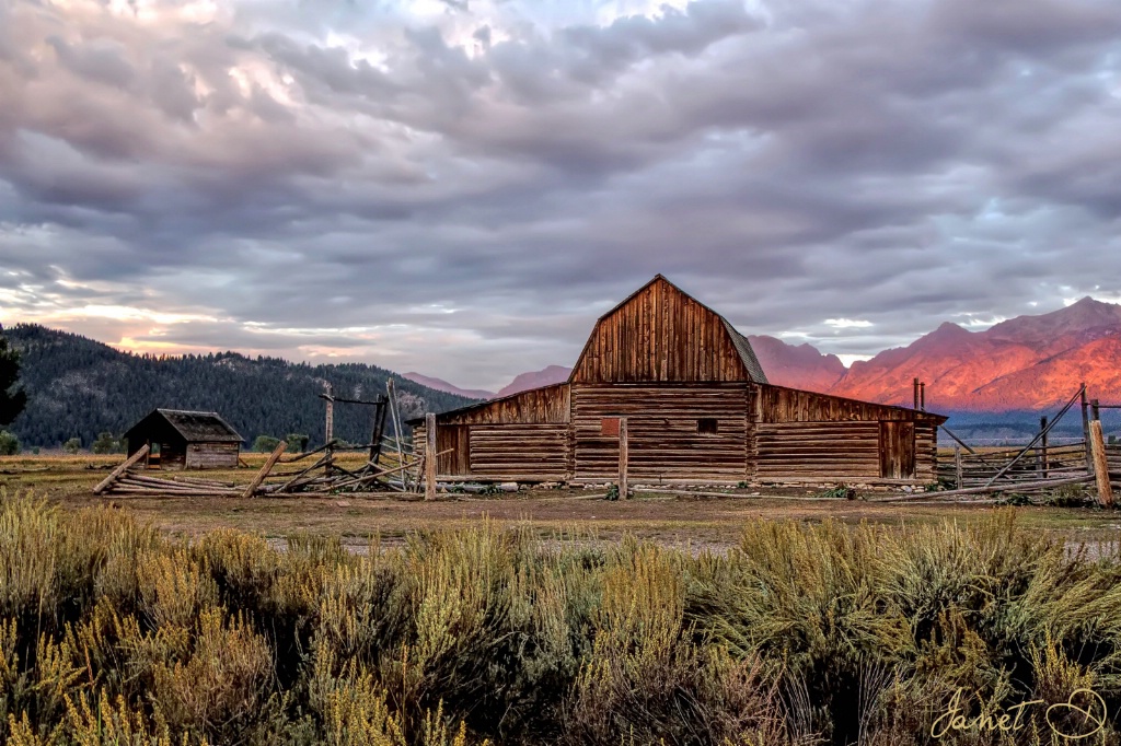 Daybreak on Mormon Row