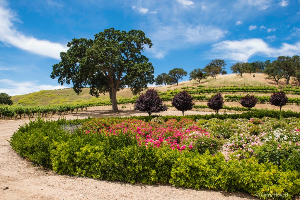 Sculpterra Winery