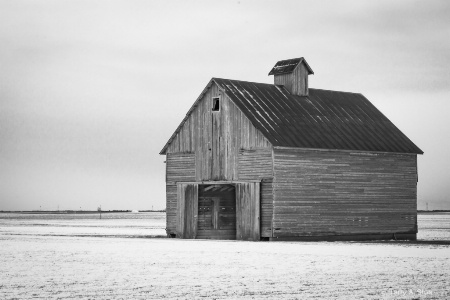 Winter on the Prairie