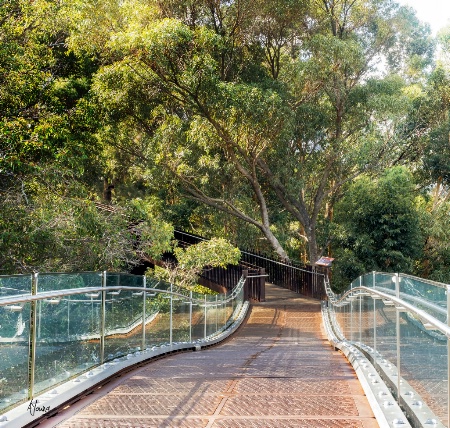 Lottery West Walk . Kings Park