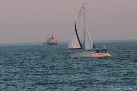 Sailboat Long Beach.JPG