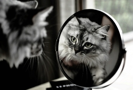 mirror, mirror on the wall