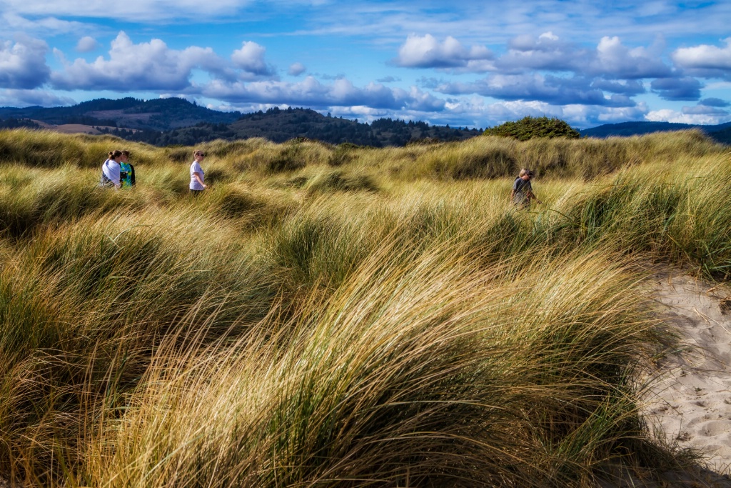 Walk Through The Dunes  2972