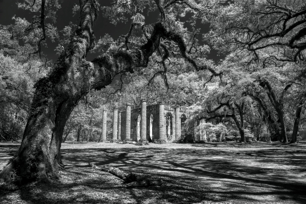 Old Sheldon Church Ruins 