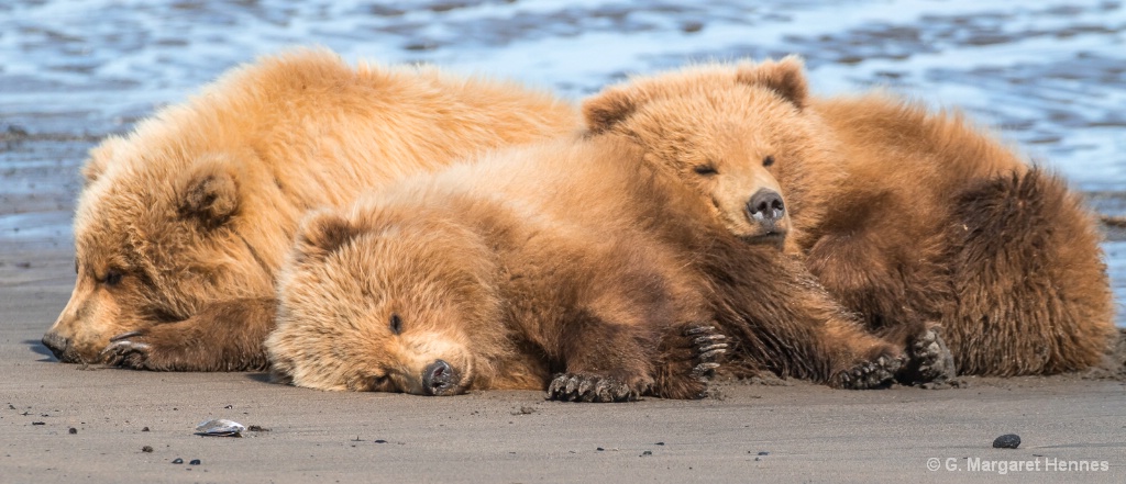 Three Little Bears