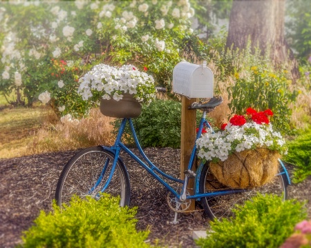 Blue Bicycle