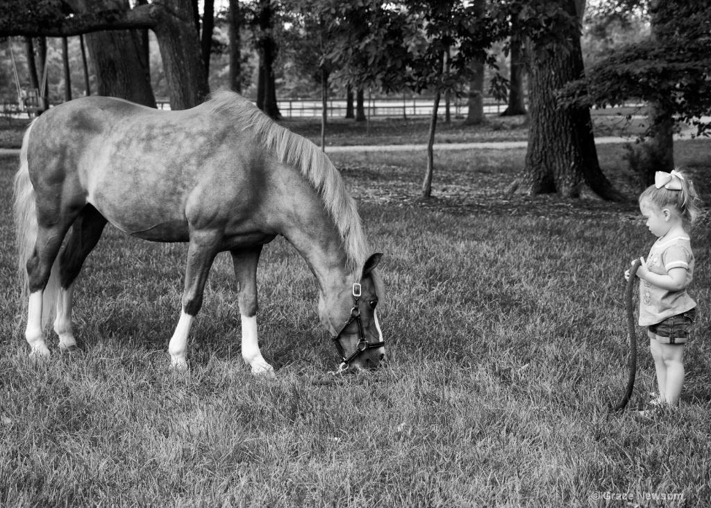 A Girl and Her Horse