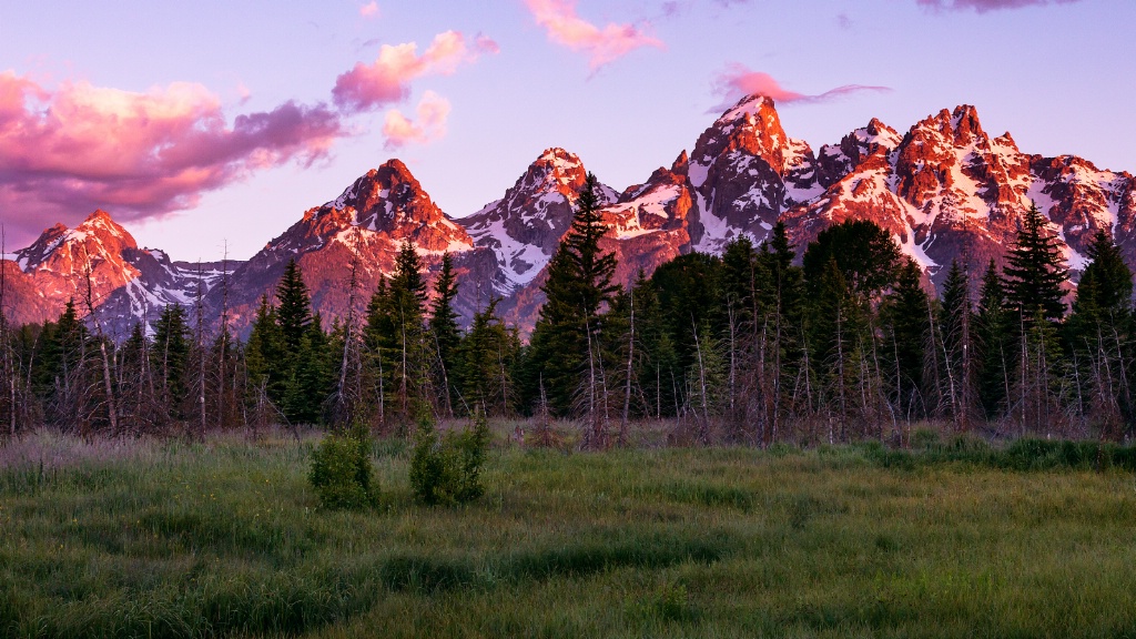 Teton Meadow