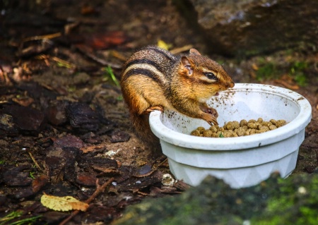 Caught with his hands in the cookie jar!