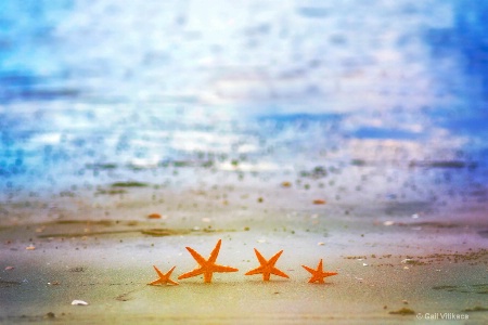 Beach Starletts