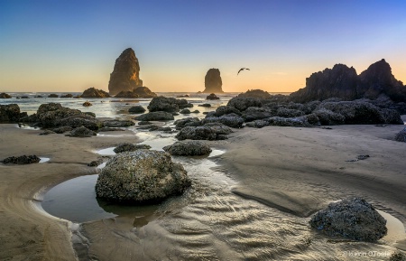 Tide Pools