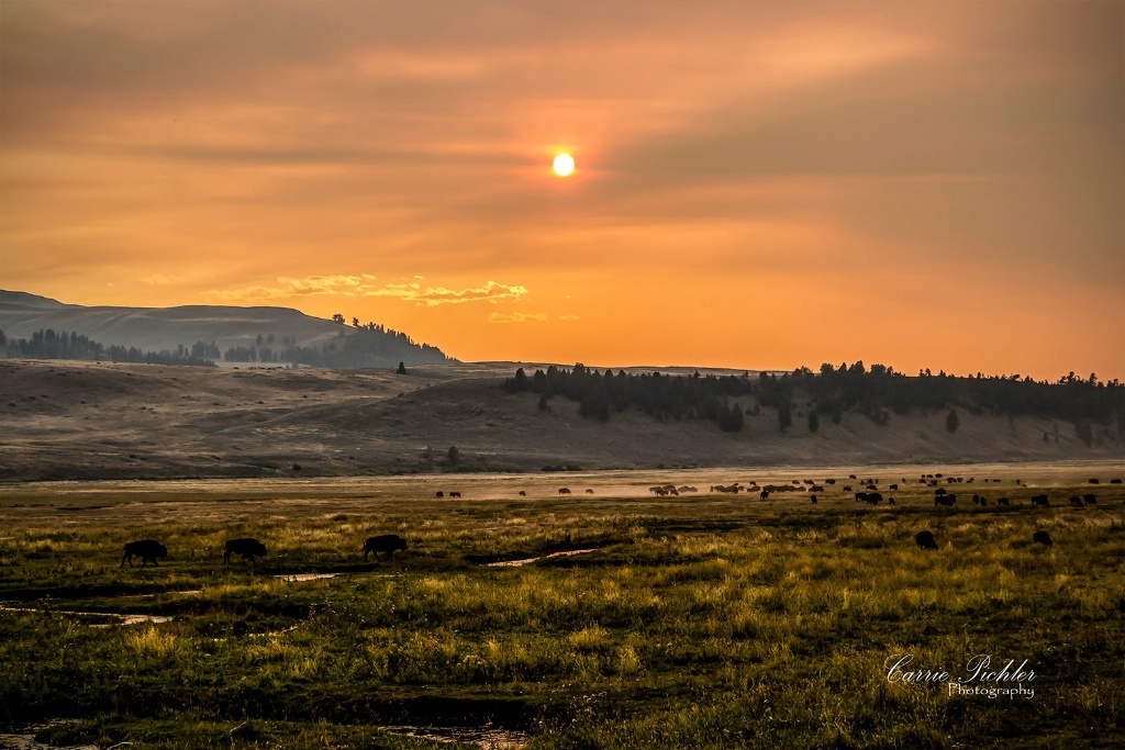 Sunset over Lamar Valley