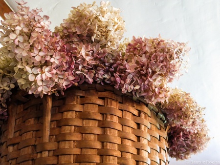 Hydrangeas Basket