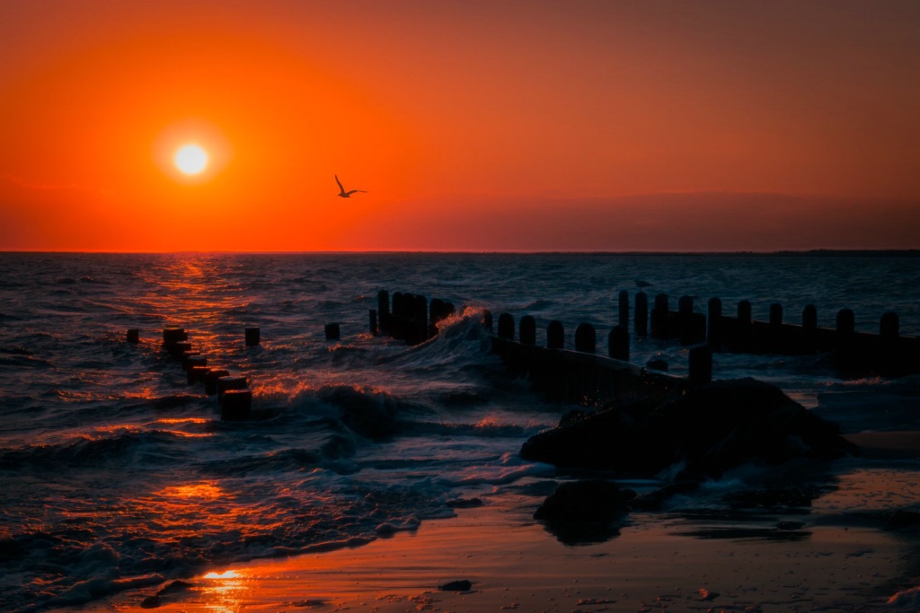 A Sunset Flight