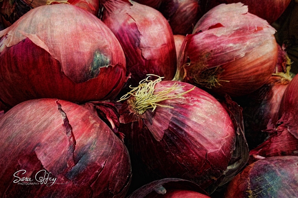 Purple Onions