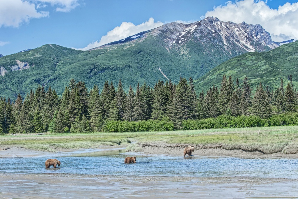 River Crossing  