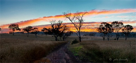 Morning Skies