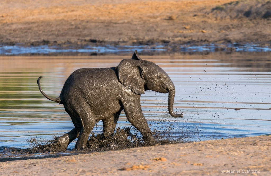 Water Play