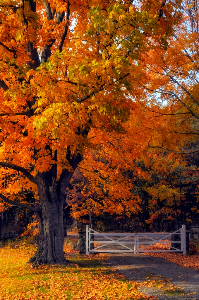 Gateway to Autumn