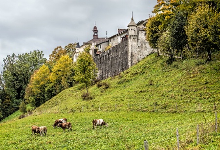 Castle Gruyere   