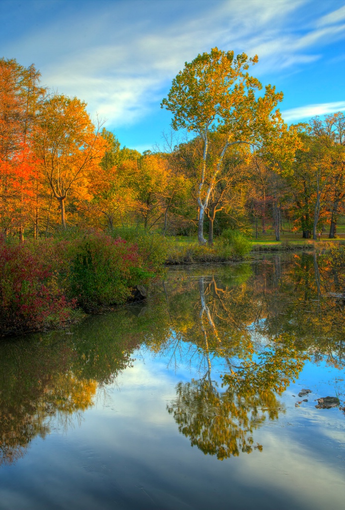 Fall Reflections