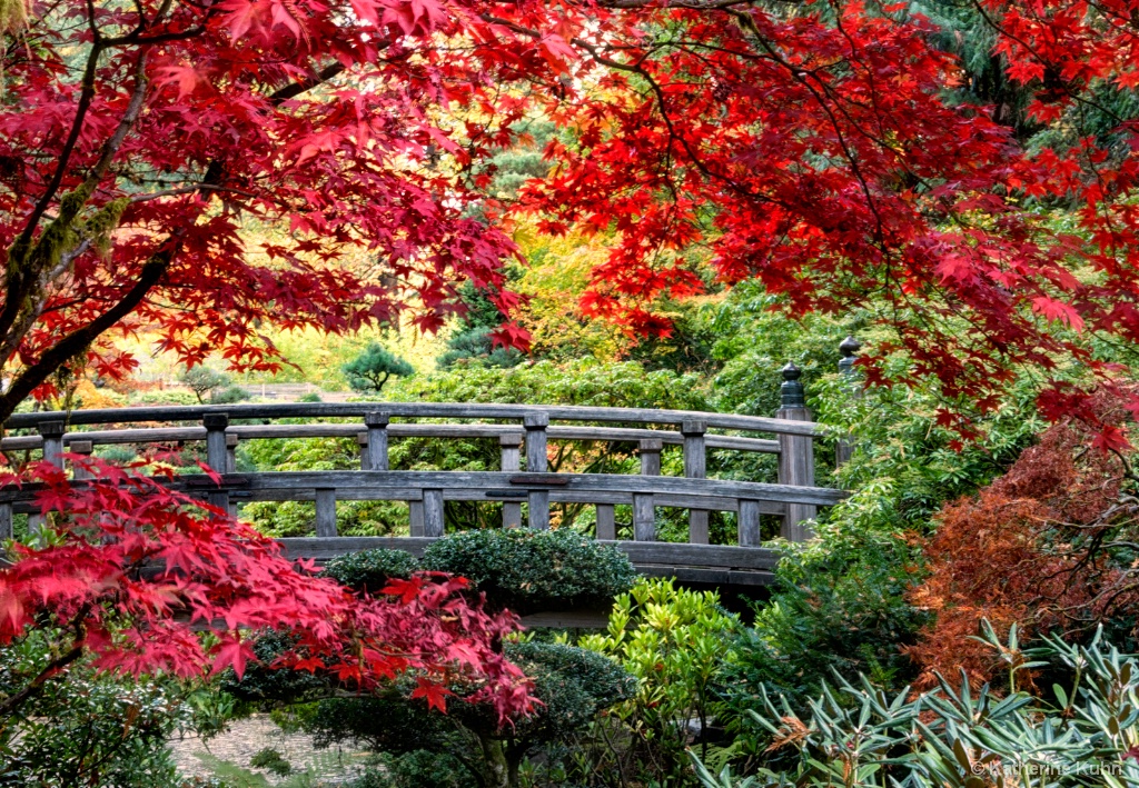 Moon Bridge