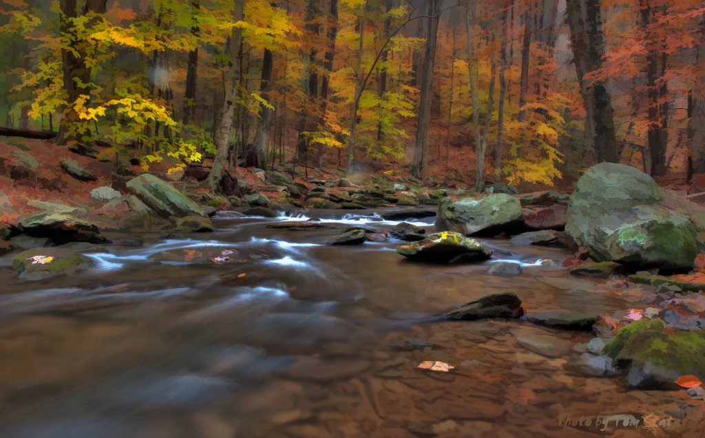 Fall Catoctin Stream