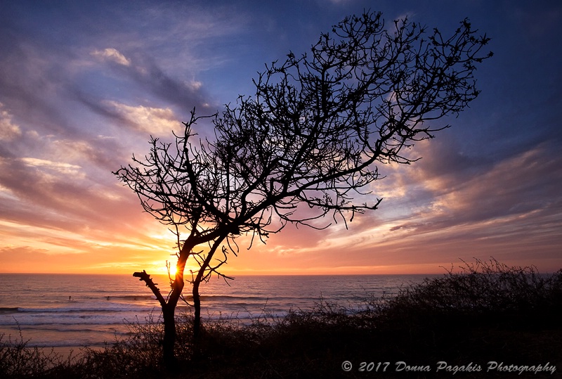 Silhouetted at Sunset 