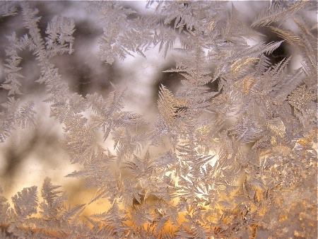 GOLDEN JACK FROST ETCHINGS