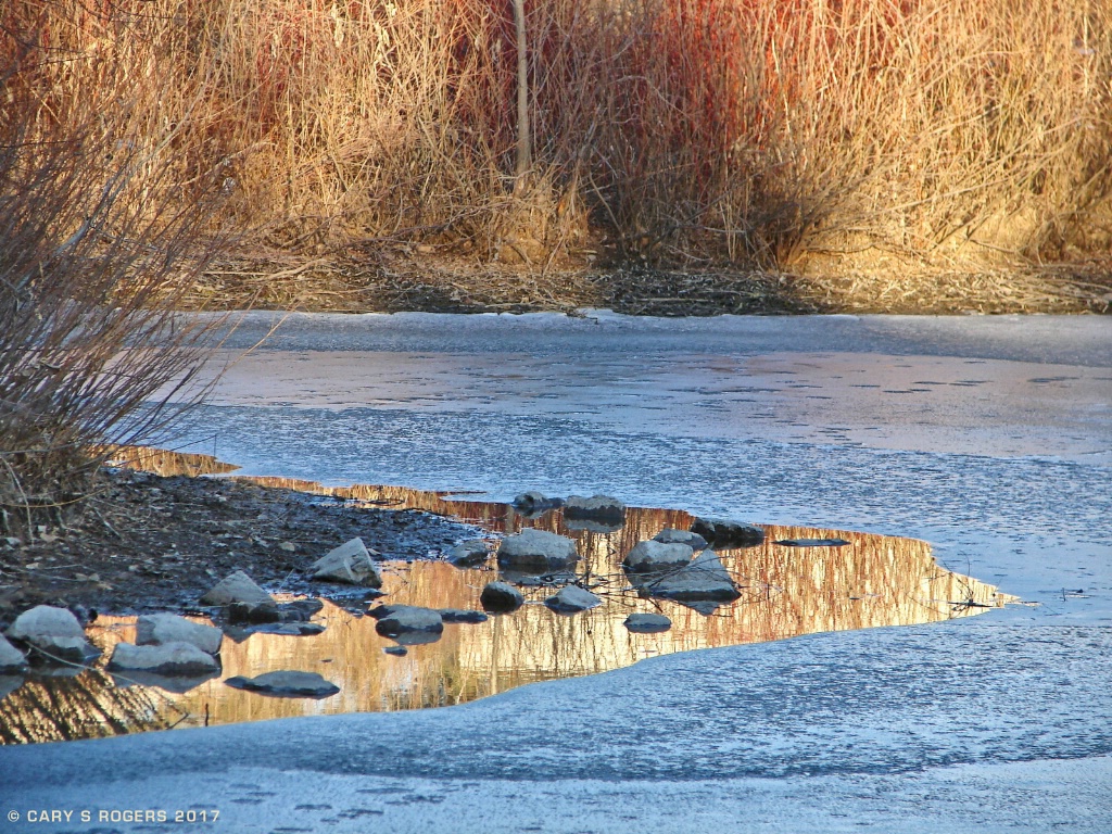 Ice in Retreat