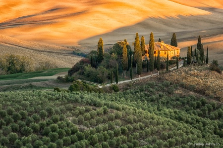 Golden Tuscany