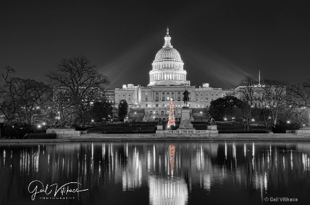 Christmas in Washington, DC