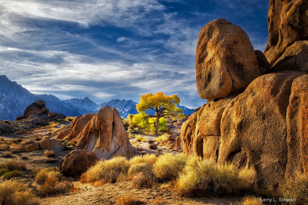 Alabama Hills Cottonwood No. 1