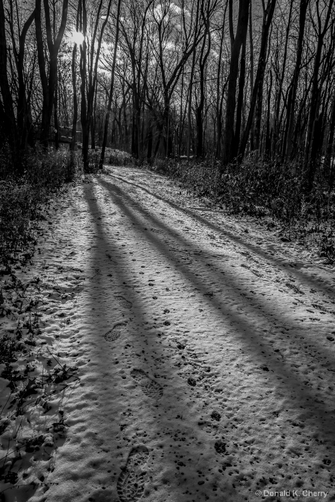 Winter’s Long Shadows