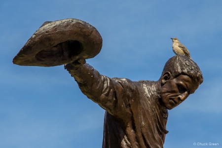 Yee Haw!  Ride'em, Cowbird!