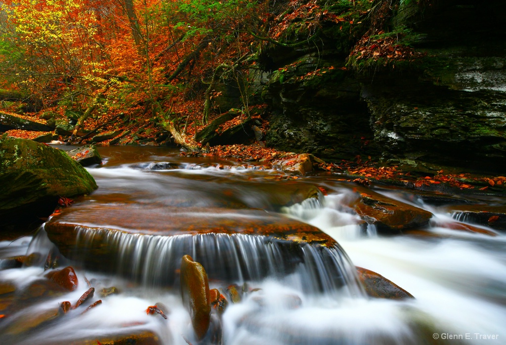 Ricketts Glen on a Autumn Day