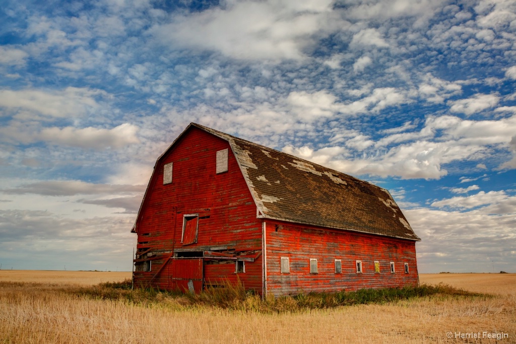 Red Barn Under a Confetti Sky 