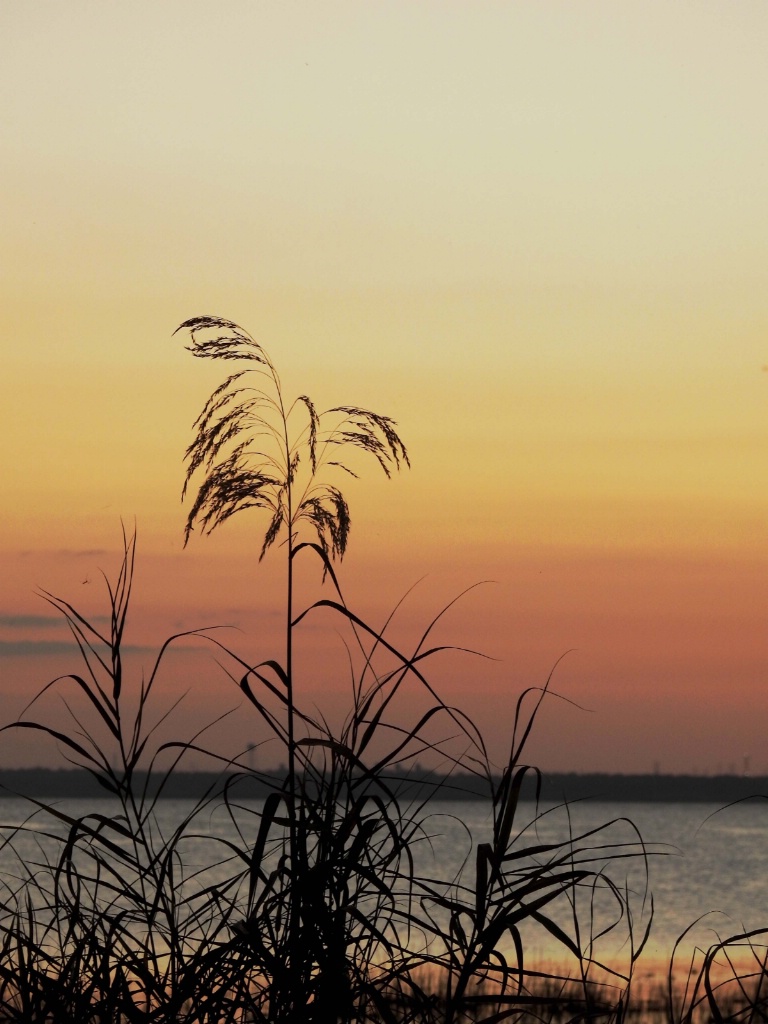 Dusk at the Lake