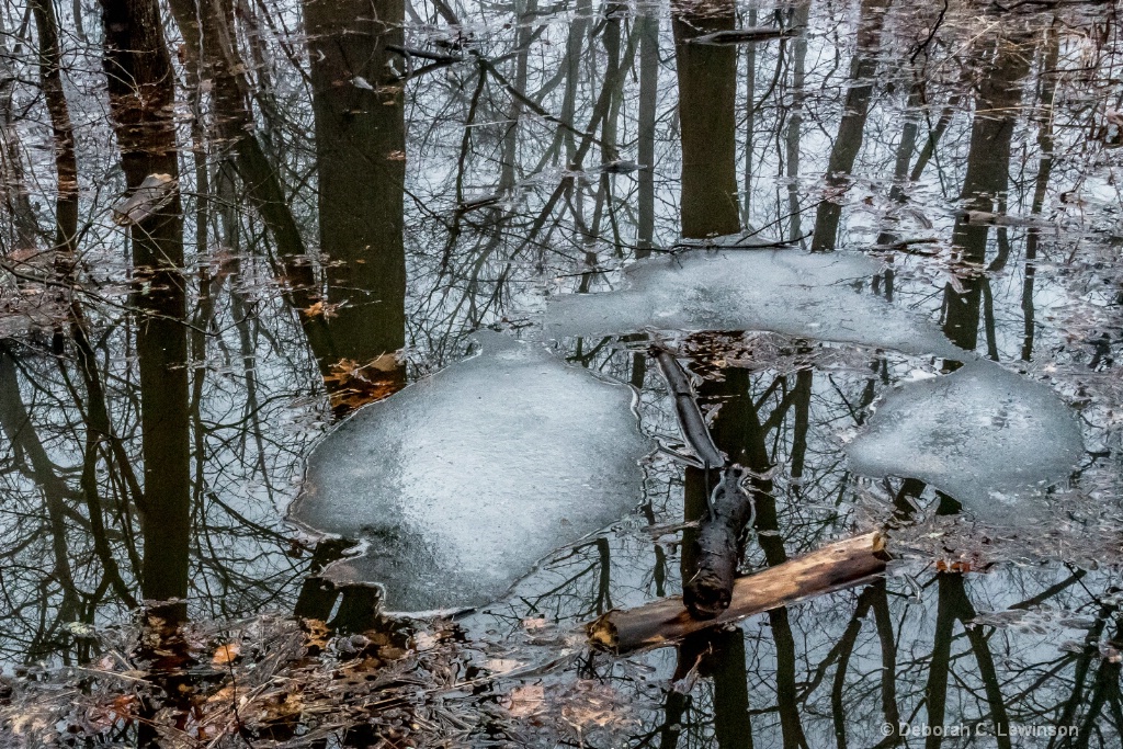 Floating Ice