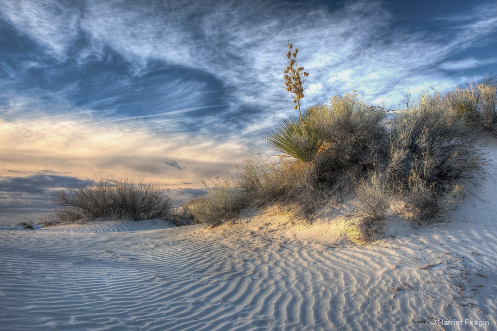 White Sands Morning 