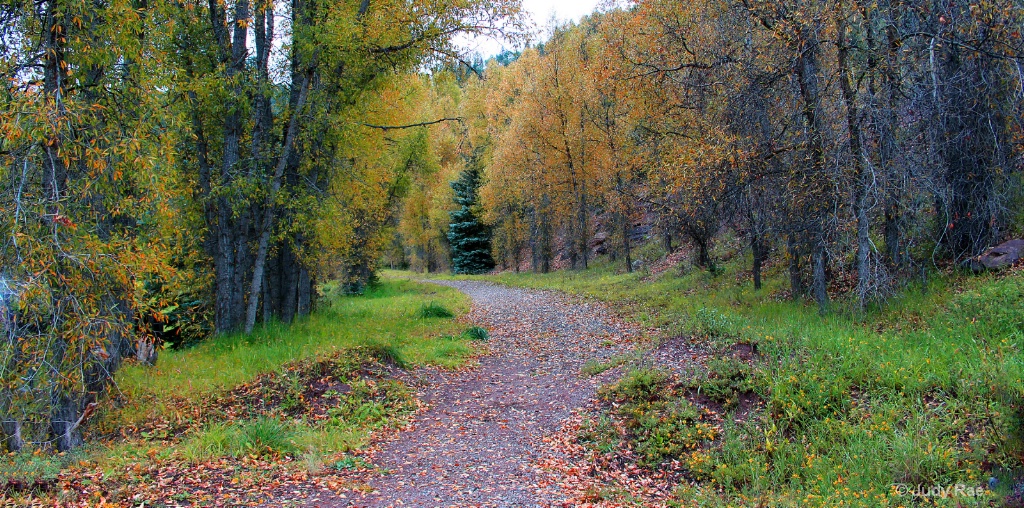 Autumn Trail