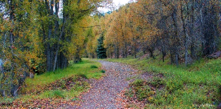 Autumn Trail