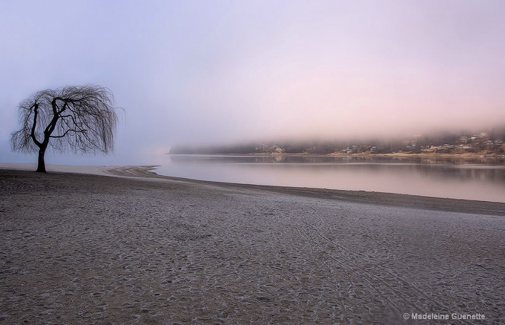 La lumière du matin