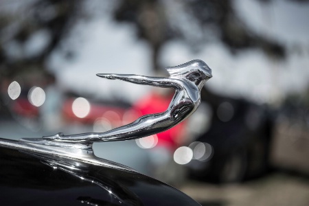 Diving Hood Ornament