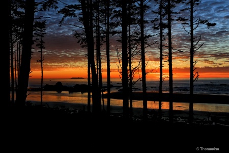 Ruby Beach Sunset II