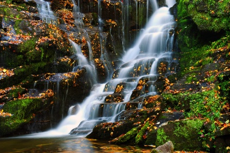 Watered Steps